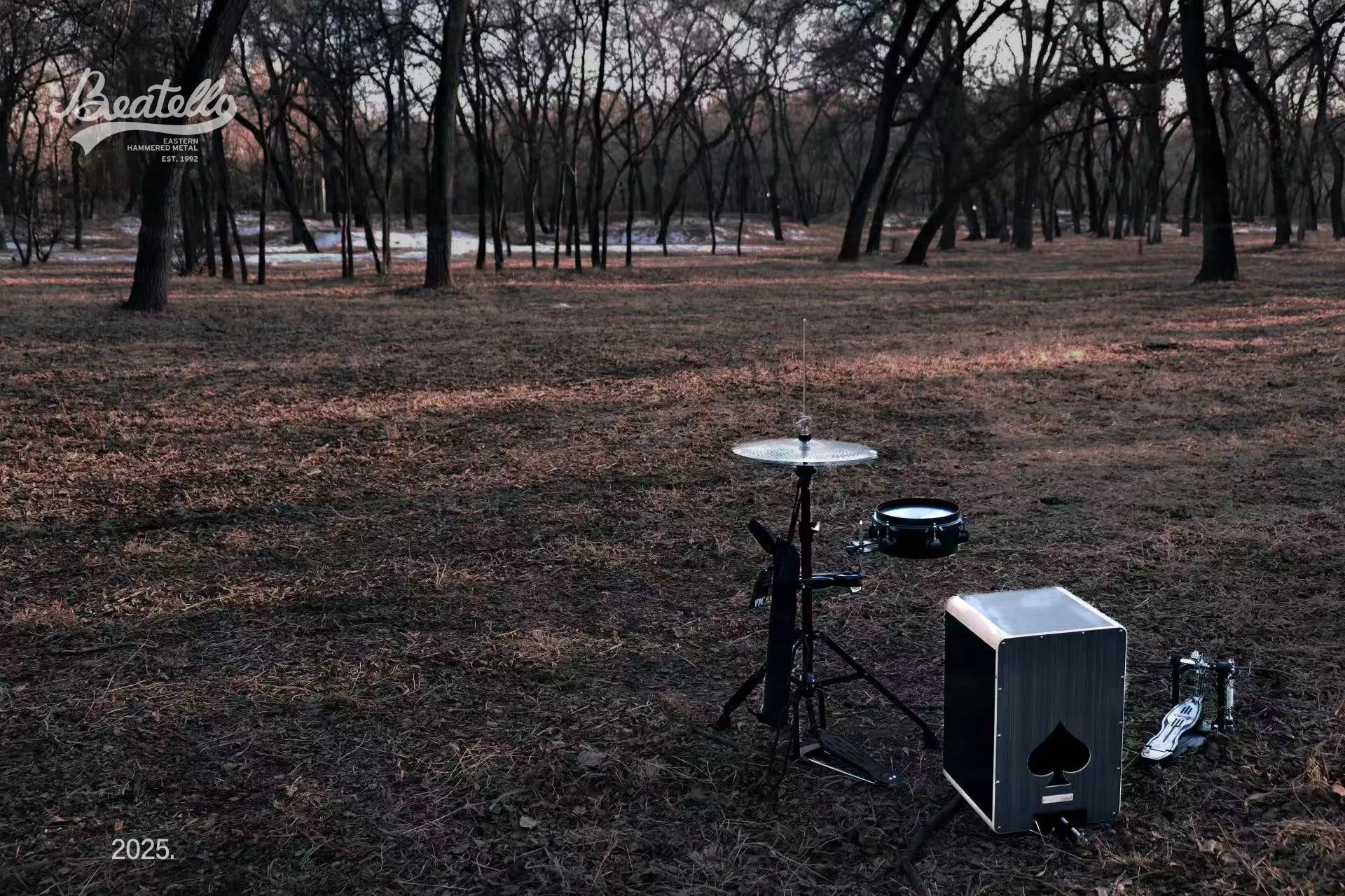 Cajon Drum Set: The Ultimate Portable Percussion for Every Musician ...
